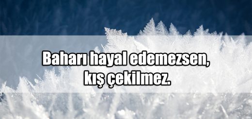 Kış ile ilgili Güzel Sözler