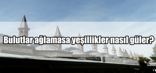 Mevlananın Hoşgörü ile ilgili Sözler