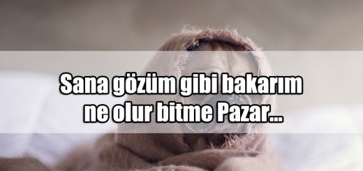 Pazartesi Günü ile ilgili Sözler