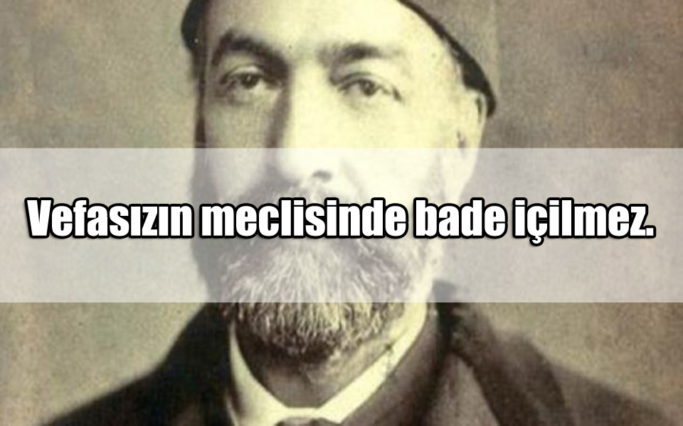 Ziya Paşa Sözleri