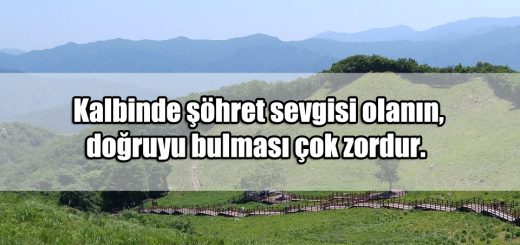 Şöhret ile ilgili Mesajlar