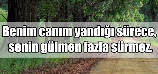 Canım Yanıyor Sözleri