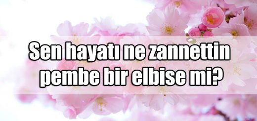 Pembe ile ilgili Sözler