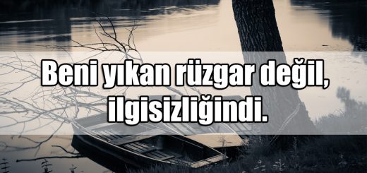 ilgisizlik ile ilgili Sözler