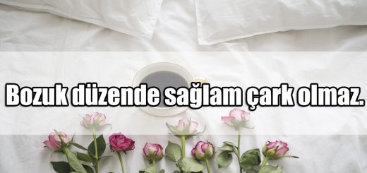 Düzen ile ilgili Sözler