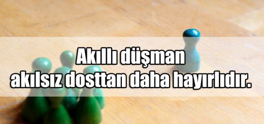 Düşman ile ilgili Sözler