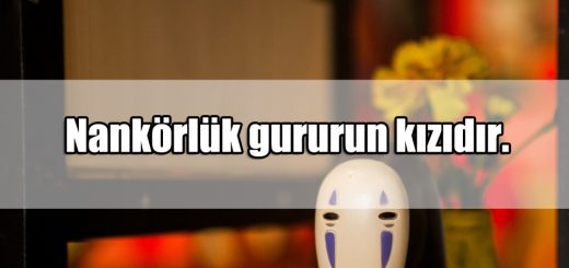 Nankörlük ile ilgili Sözler