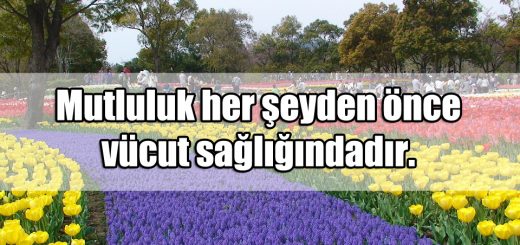 Fevkalade Sözler