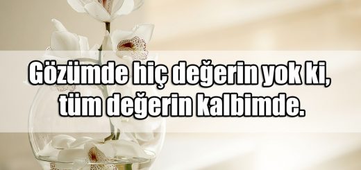 Değerlisin Sözleri