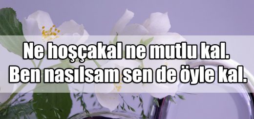 Hoşçakal Mesajları