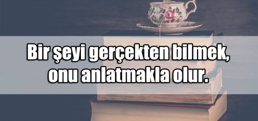 Bilgi ile ilgili Sözler