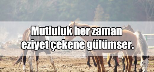 Eziyet ile ilgili Sözler