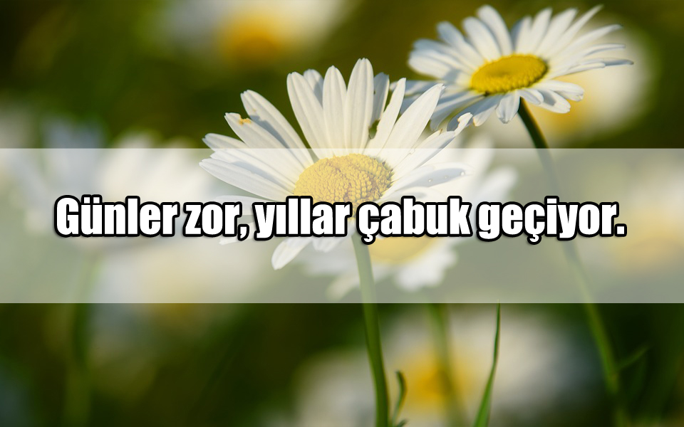 Yıllar ile ilgili Sözler