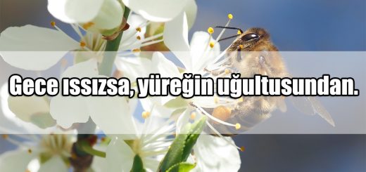 Uğultu ile ilgili Sözler