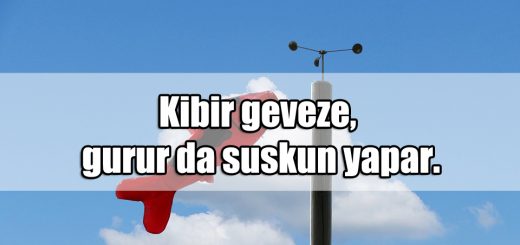 Gevezelik ile ilgili Sözler