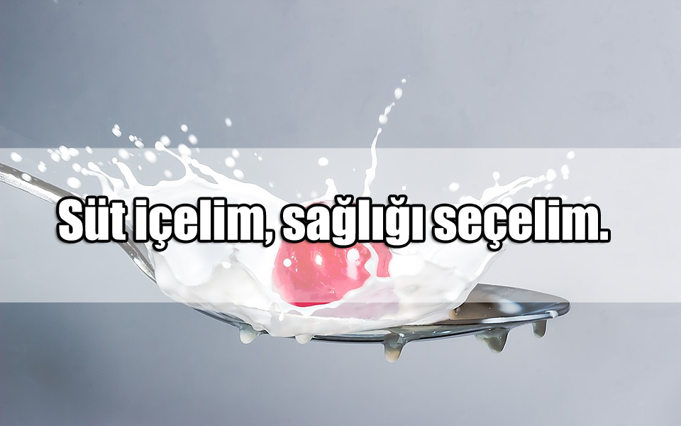 Süt ile ilgili Sözler