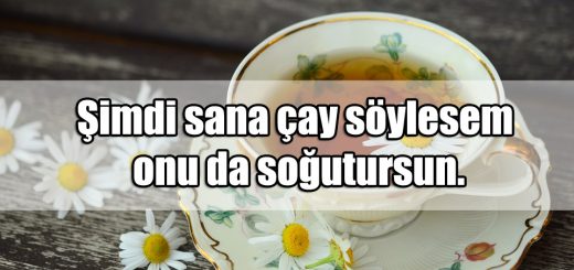 Çay ile ilgili Güzel Sözler