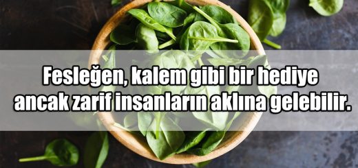 Fesleğen ile ilgili Sözler