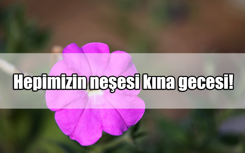 Kına Gecesi Sözleri