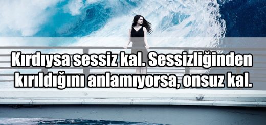 Kırıldığını Anlatan Sözler