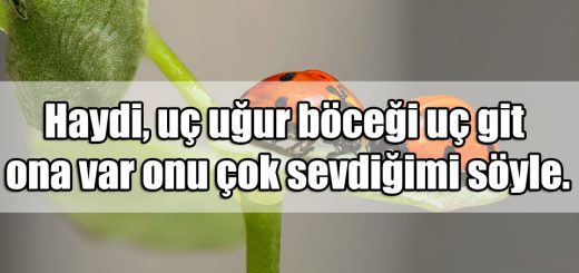 Uğur Böceği ile ilgili Sözler