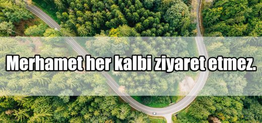 Ziyaret Sözleri