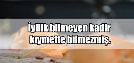 iyilik Yapıp Kötülük Bulmak ile ilgili Sözler