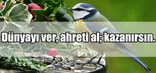 Ahiret ile ilgili Sözler