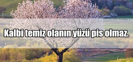 Kalp Güzelliği ile ilgili Sözler