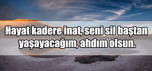 Sil Baştan ile ilgili Sözler