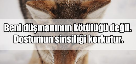 Çakal Sözler
