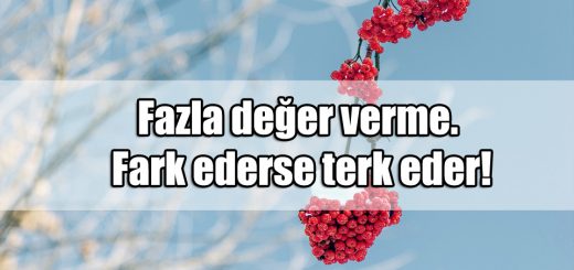 Değerinden Fazla Değer Verme Sözleri