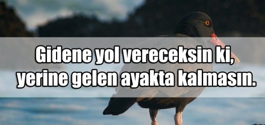 Sevenler için Mesajlar