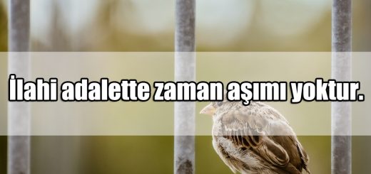 Adalet Mesajları