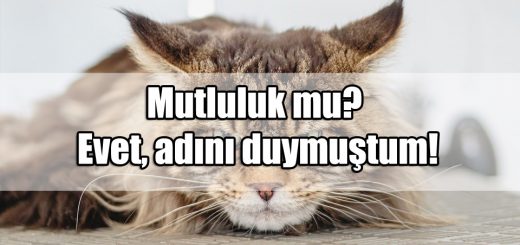 Üzüntü Mesajları