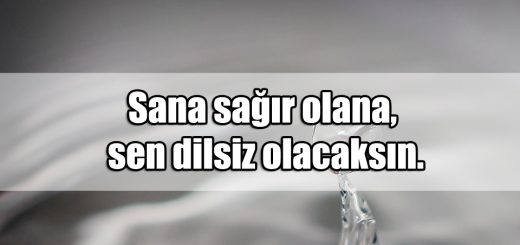 Şaşırtıcı Sözler