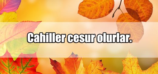 Cesaret ile ilgili Güzel Sözler