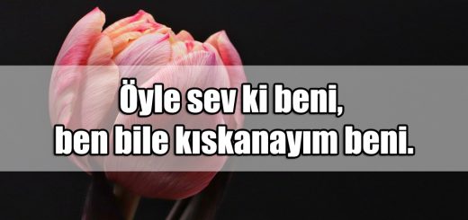 Nişanlıya Güzel Mesajlar