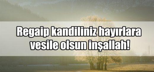 Regaip Kandili ile ilgili Mesajları