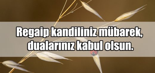 Regaip Kandili ile ilgili Sözler