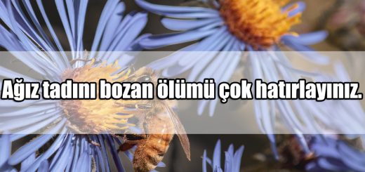 Hatırlamak ile ilgili Sözler