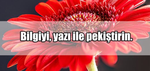 Yazmak ile ilgili Sözler