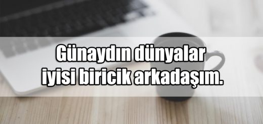 Arkadaşa Günaydın Mesajları