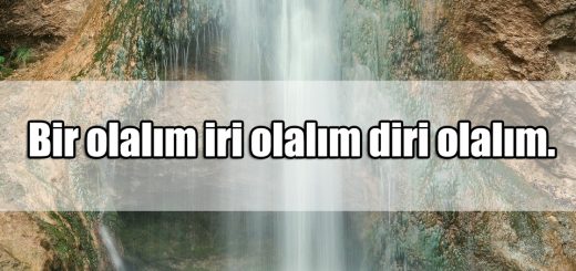 Birlik Beraberlik Sözleri