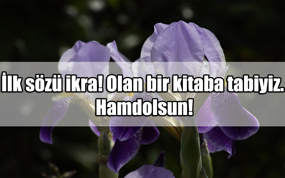 Hamdolsun Sözleri