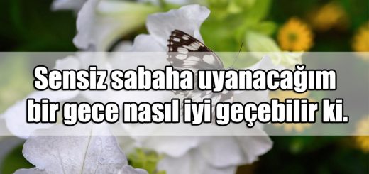 Sevgiliye iyi Uykular Mesajları