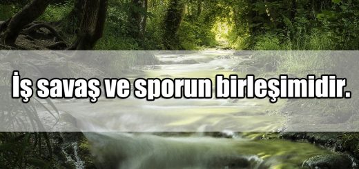 iş ile ilgili Sözler