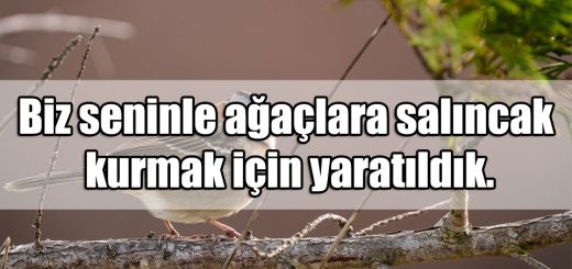 Salıncak ile ilgili Sözler