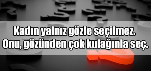 Seöimlerle ilgili Güzel Sözler