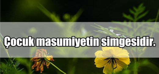 Çocuğun Masumiyeti ile ilgili Mesajlar